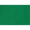 Tapis de billard vert bleu